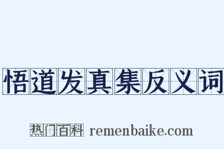 悟道发真集反义词是什么意思的图片